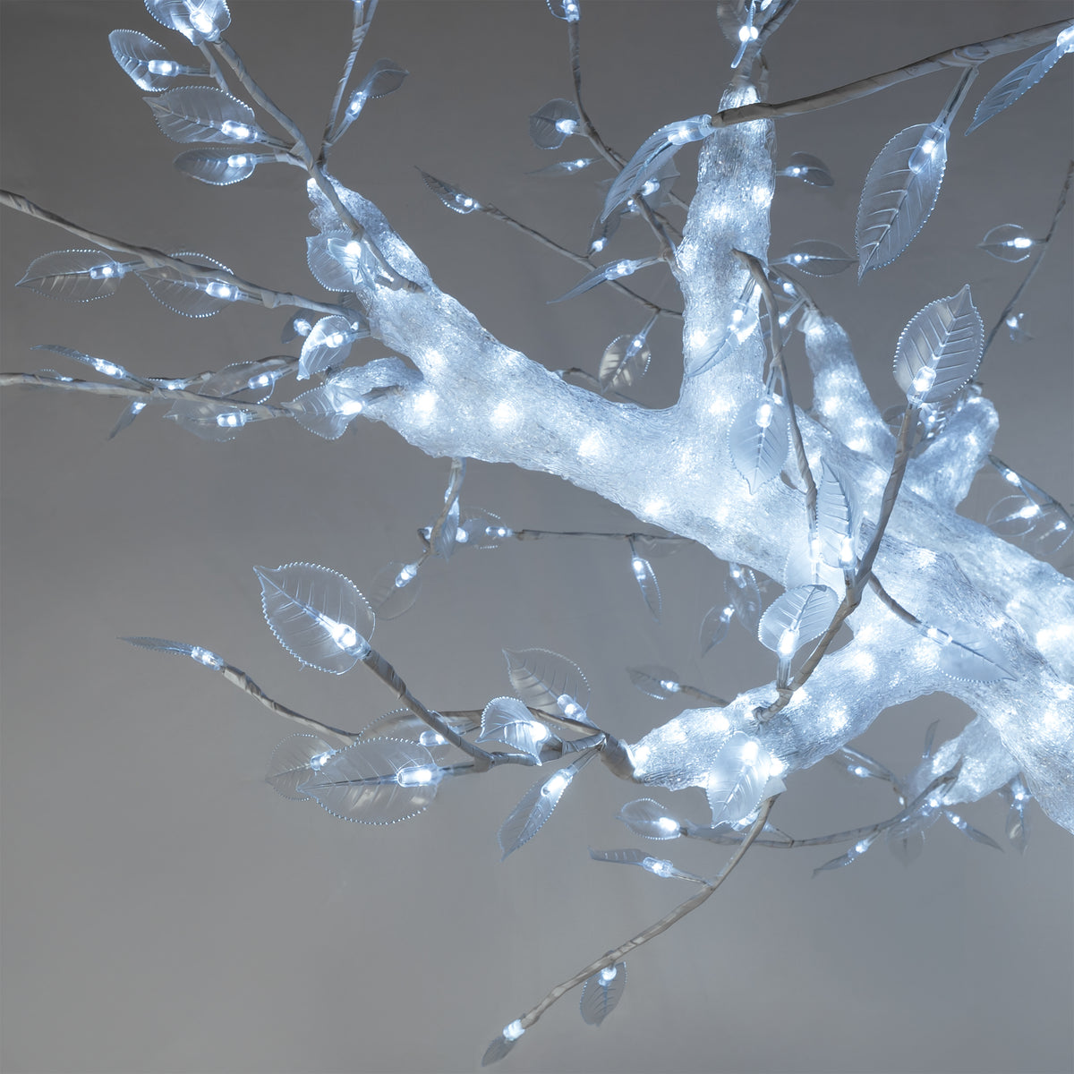 Acrylic Acacia Tree w- Cool White LED Lights