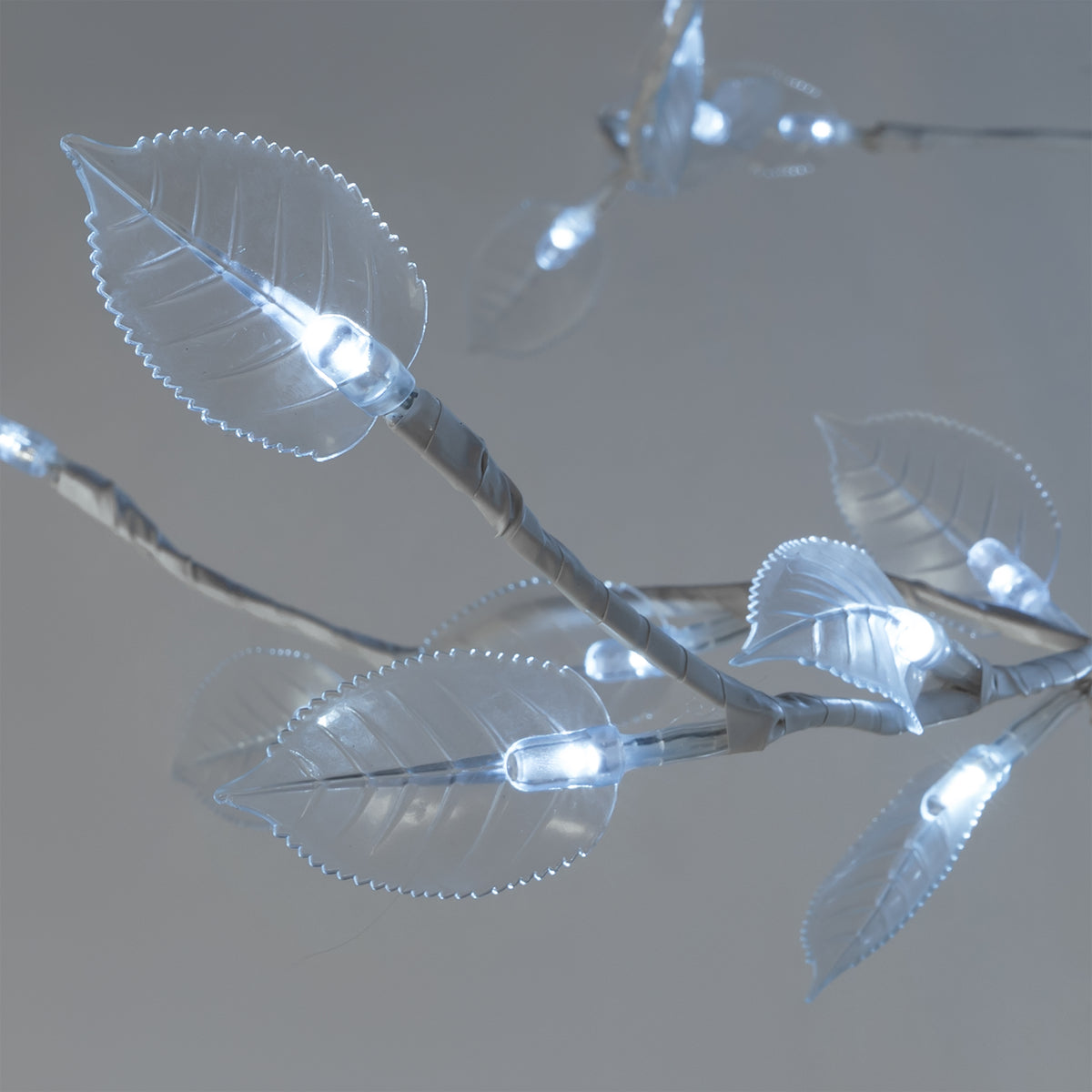 Acrylic Acacia Tree w- Cool White LED Lights