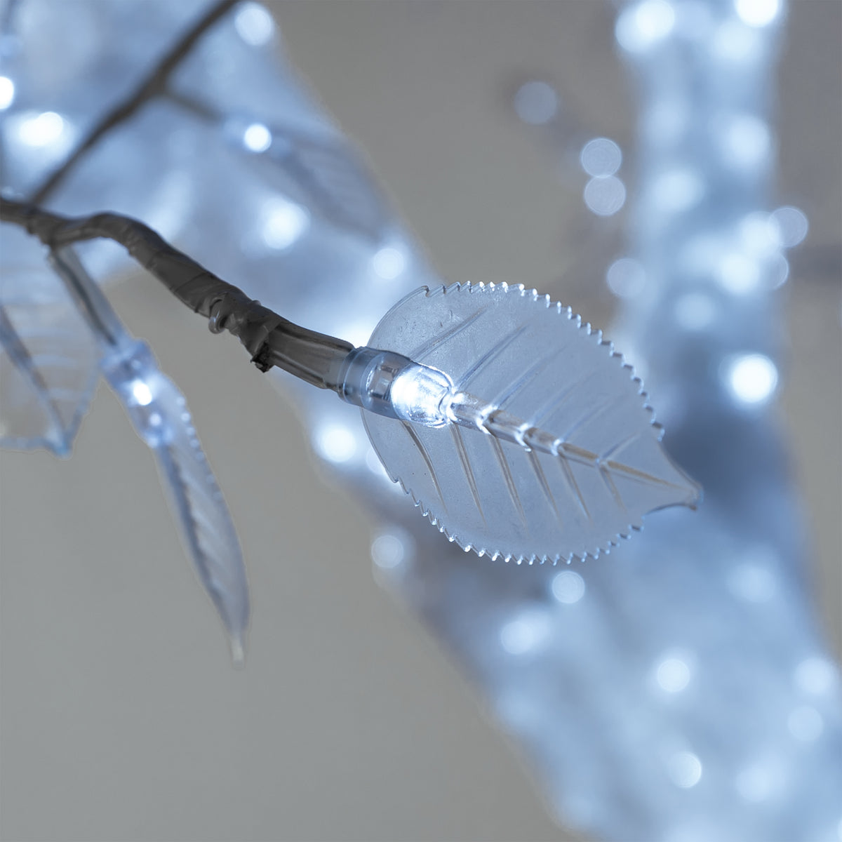 Acrylic Acacia Tree w- Cool White LED Lights
