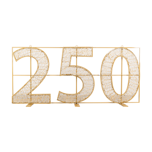 250 Illuminated Numbers