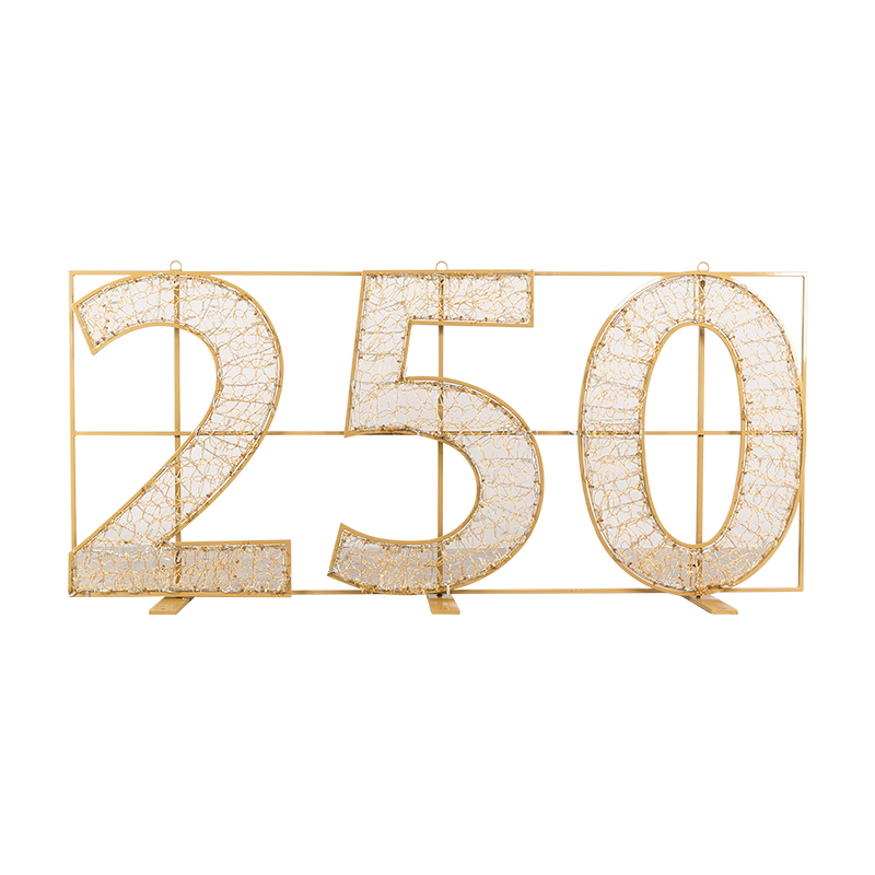 250 Illuminated Numbers