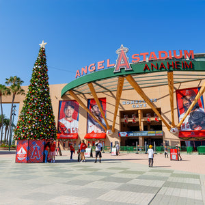 Custom Graphic Tree Risers