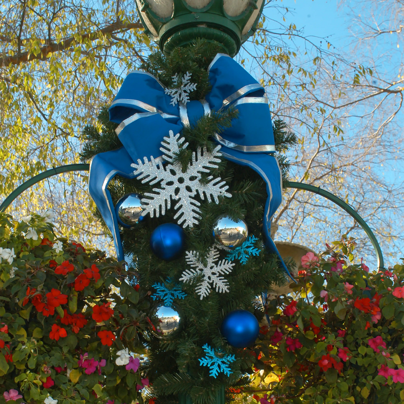 Blue Structural Bow with Silver Trim 36