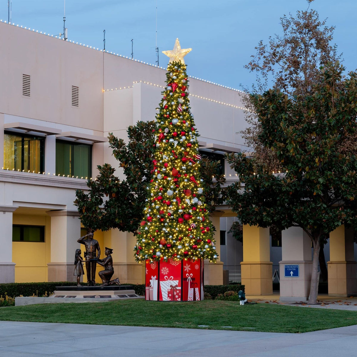 Sequoia Tree Collection