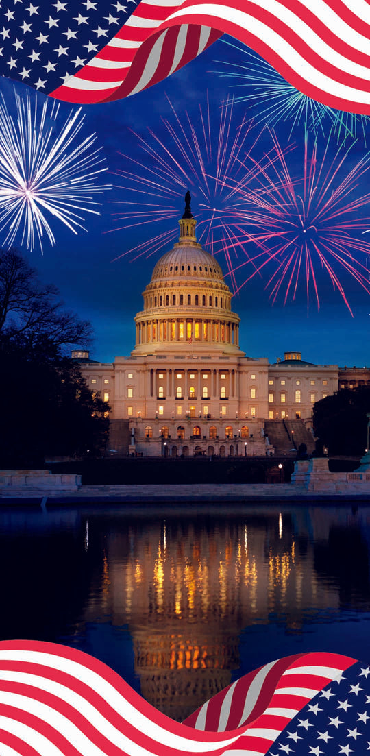 Capitol Celebration Single Vinyl Banner