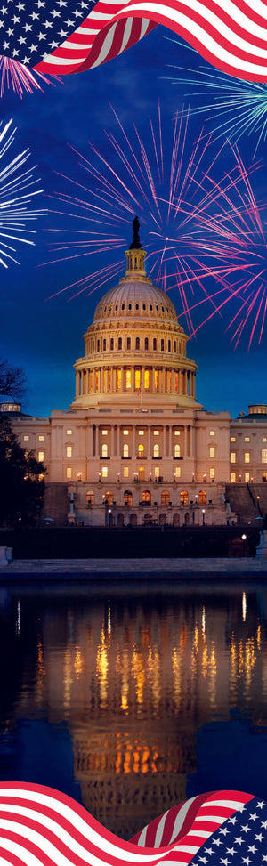 Capitol Celebration Single Vinyl Banner