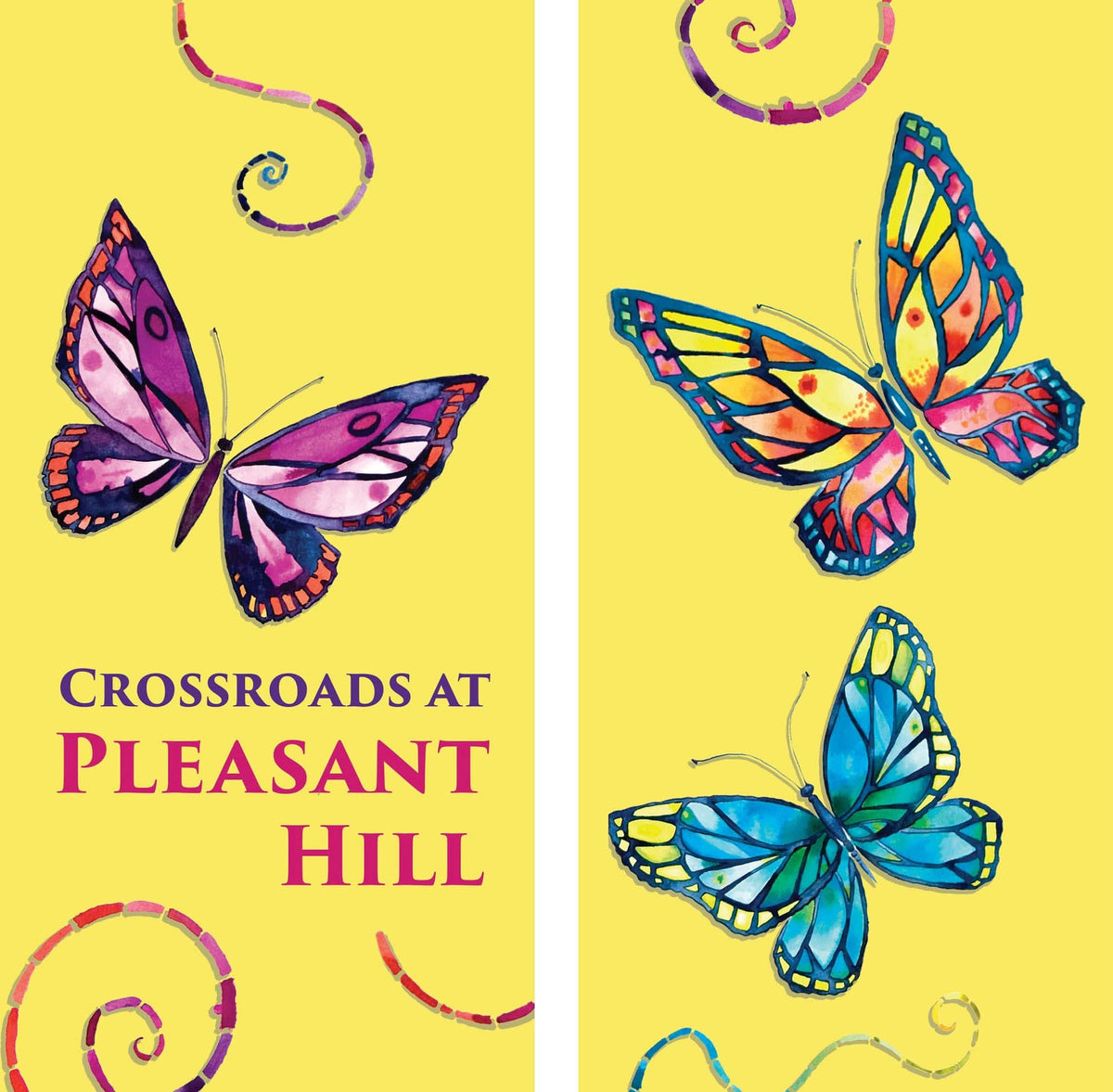Colorful Butterflies Double Vinyl Banner Set