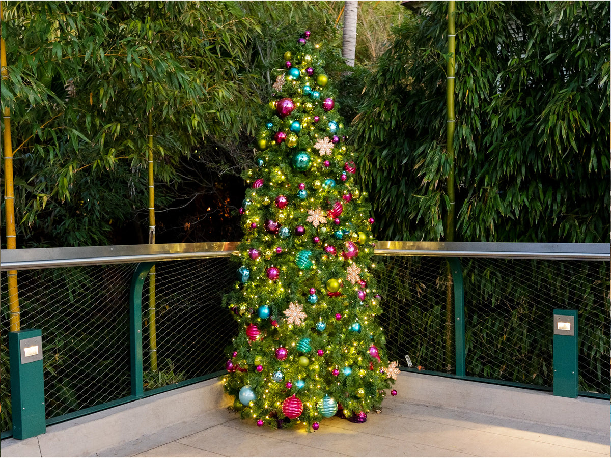 Commercial Christmas Trees (Copy)