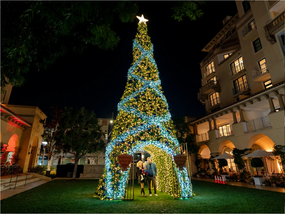 Commercial Christmas Trees (Copy)