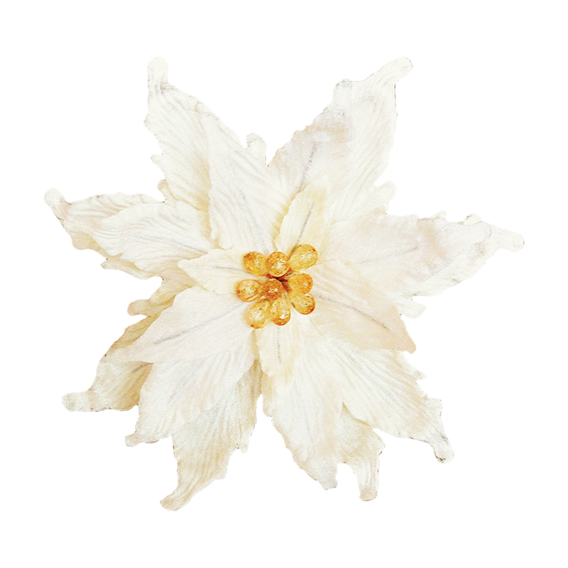 8" Cream Poinsettia