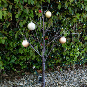 Snow-Capped Tree Collection