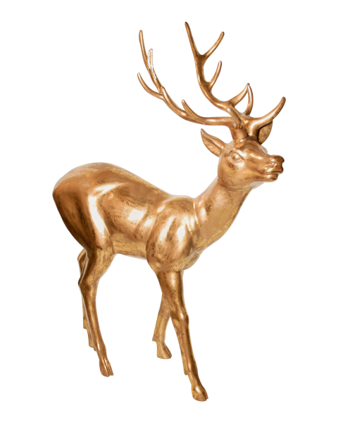 Elegant Deer