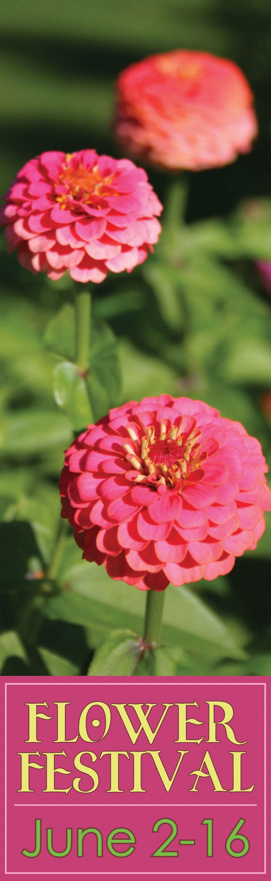 Flower Festival Single Vinyl Banner