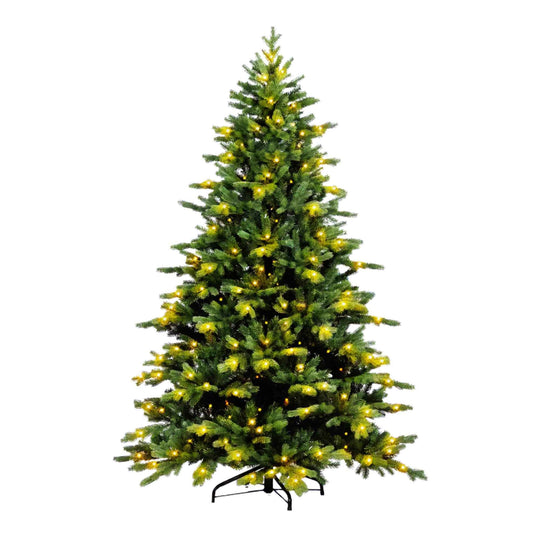Fraser Fir Tree Collection