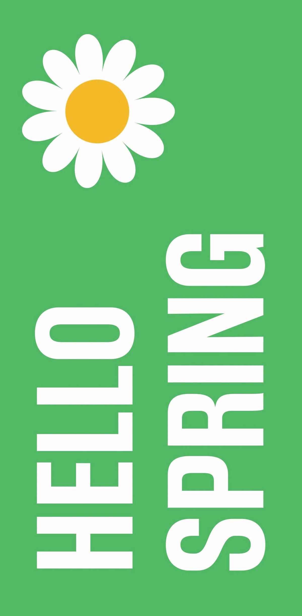 Hello Spring - White Daisy with Green Background Double Vinyl Banner