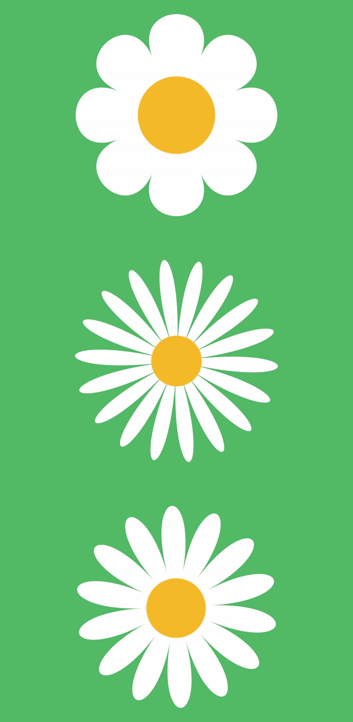 Hello Spring - White Daisy with Green Background Double Vinyl Banner