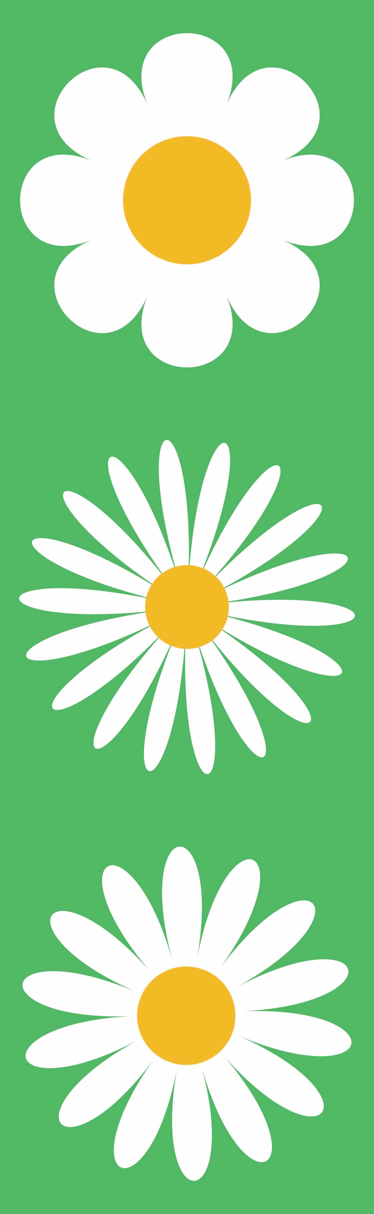Hello Spring - White Daisy with Green Background Double Vinyl Banner