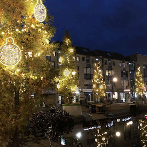 Dekra-Lite Illuminated Tolga Ornaments in trees outside, by Apartment buildings.