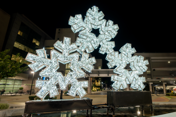 Regal Snowflakes