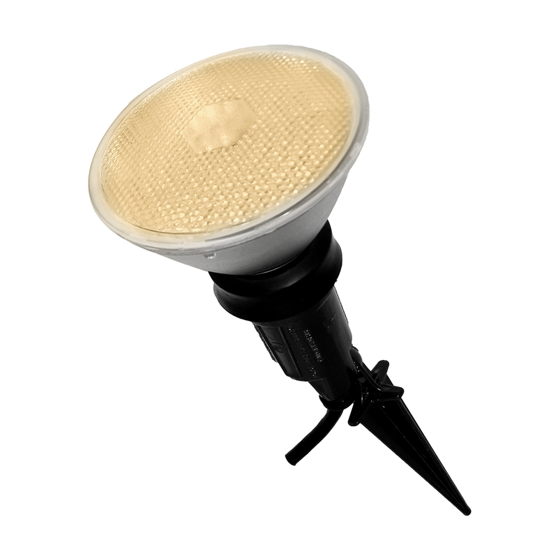 LED Flood Light Bulbs