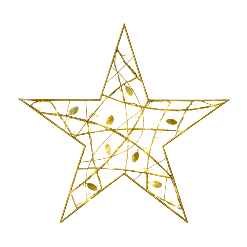 Leavesden Stars