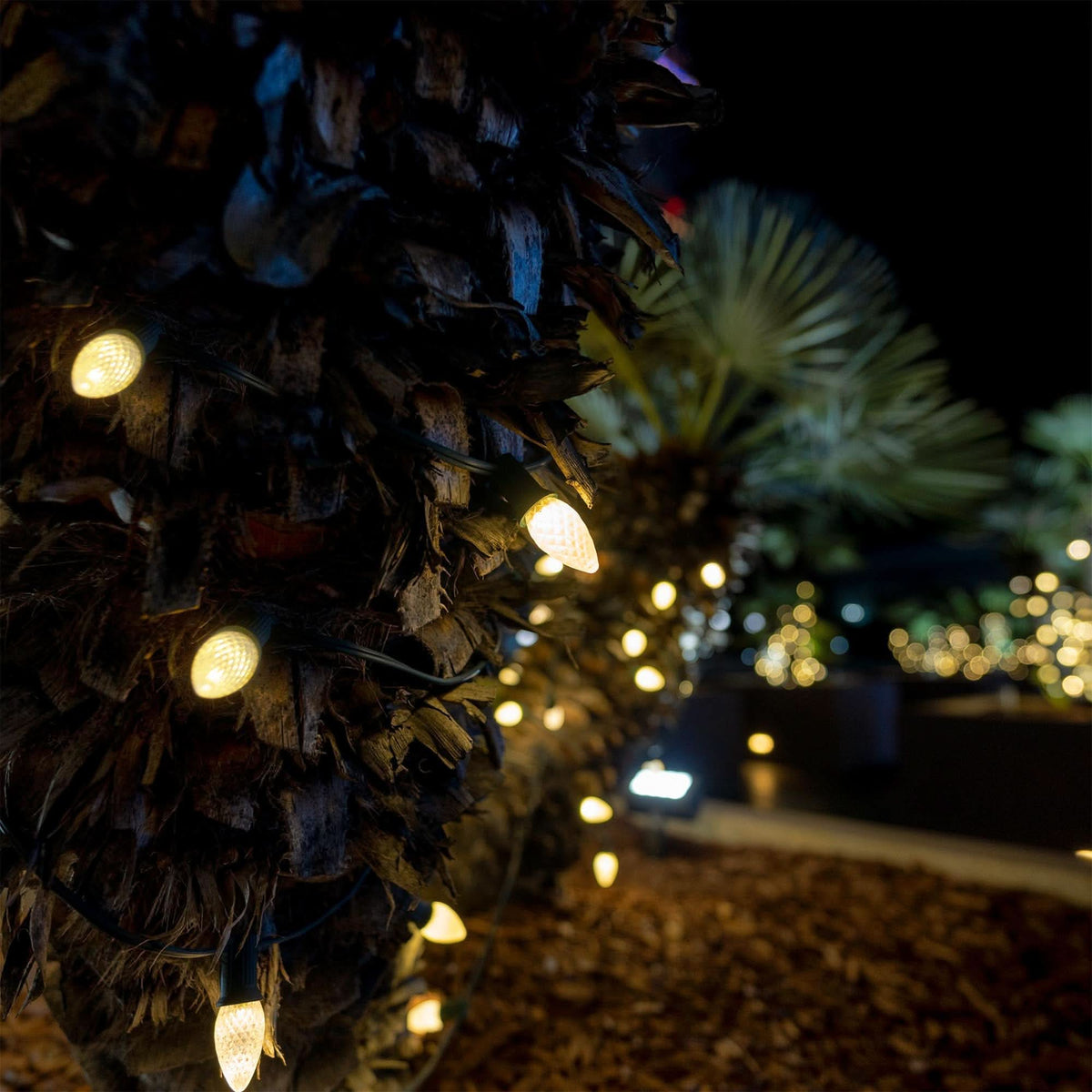 LED C7 Faceted Bulbs