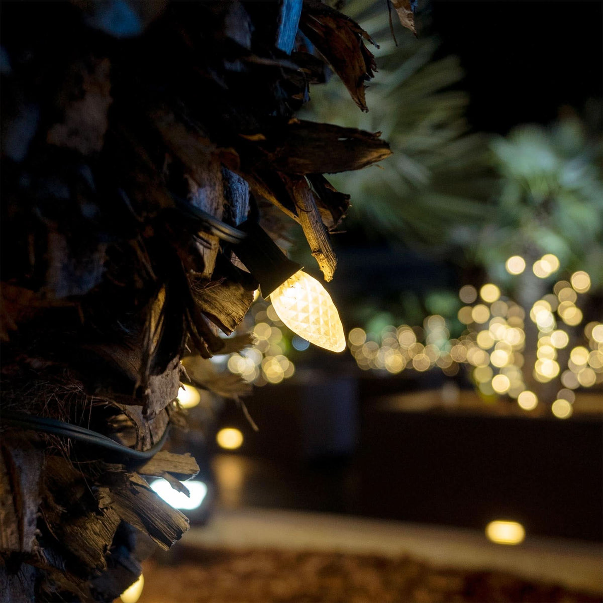 LED C7 Faceted Bulbs