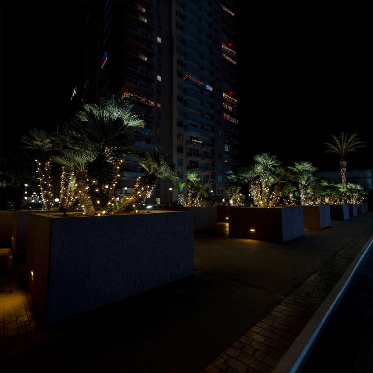 LED C7 Faceted Bulbs