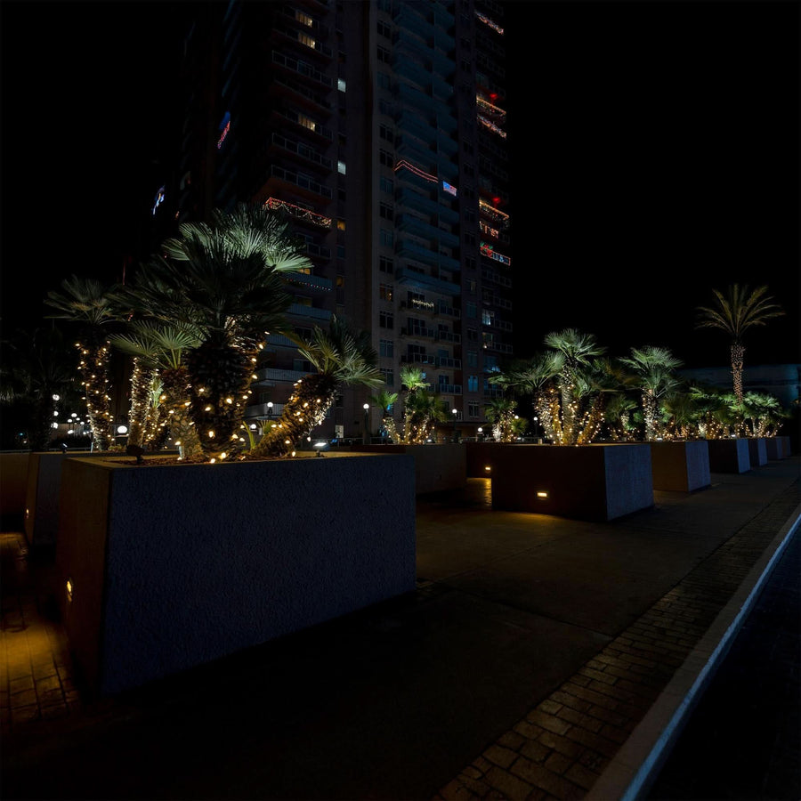 LED C7 Faceted Bulbs