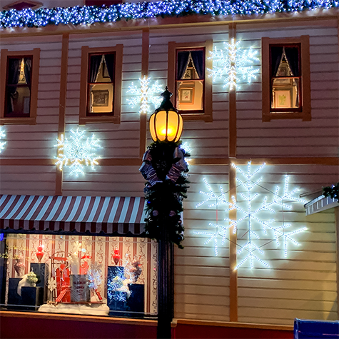 Dekra-Lite Majestic Snowflake LED Ropelight Pole Mount Display