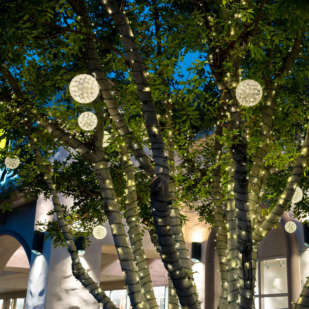 Illuminated LED Spheres
