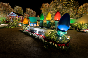 Large Fiberglass Bulbs