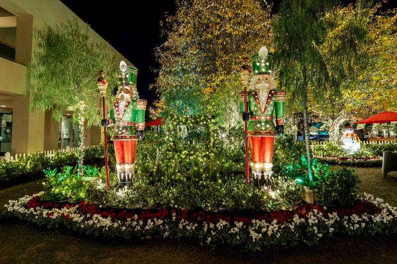 Lit Nutcrackers