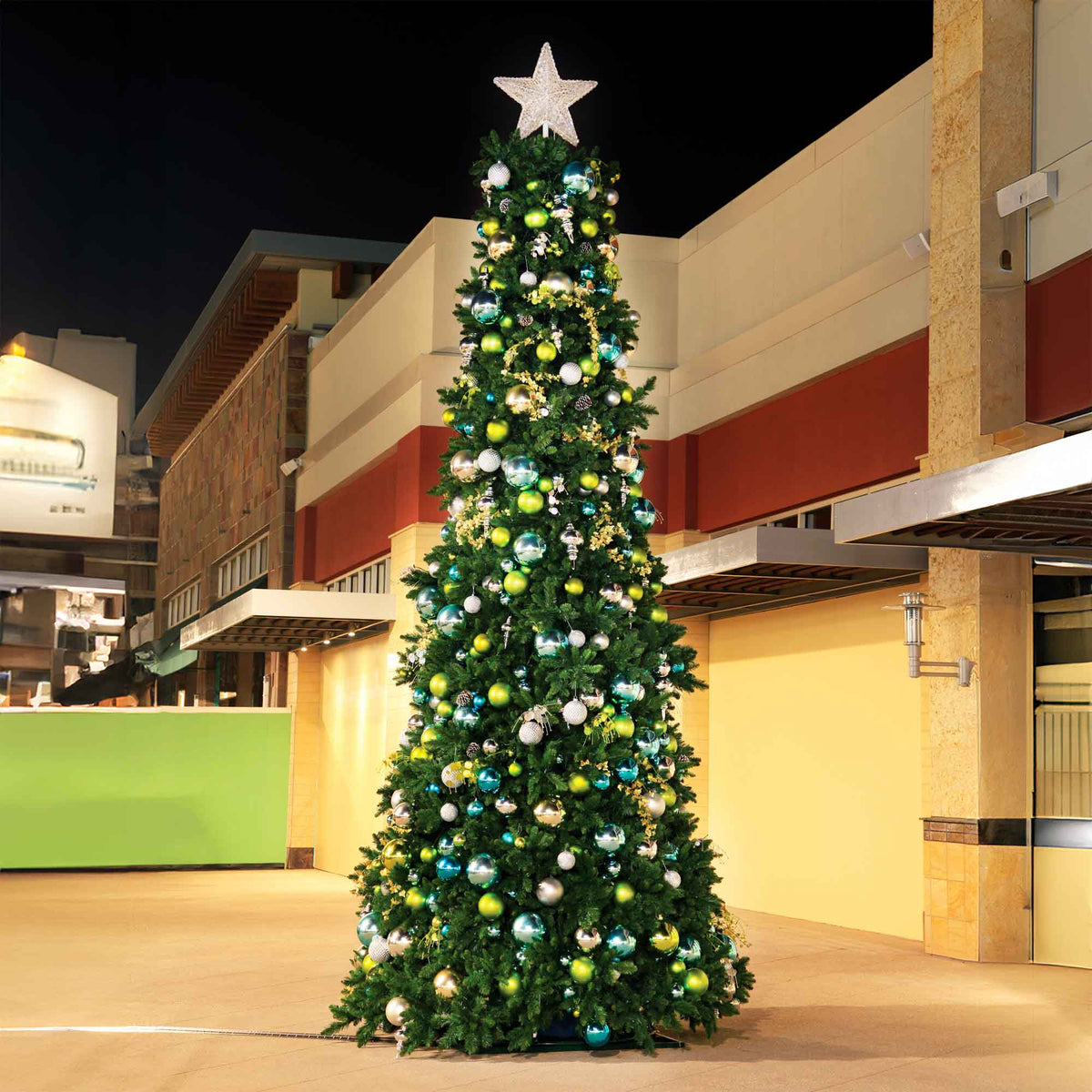 Monarch Tower Tree Collection