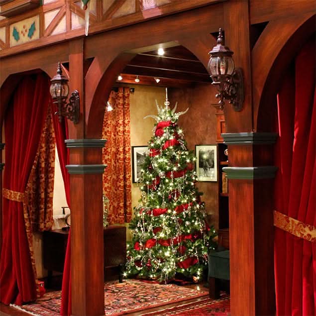 A lit Mountain Pine tree that has soft, green, bristly needles and long branches that extend outward, giving it a natural, full appearance. The tips of some branches are slightly bent upwards. The tree is decorated with several strings of small, warm white lights. 