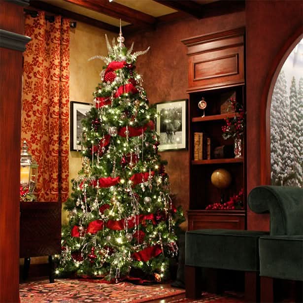 Mountain Pine Tree Collection