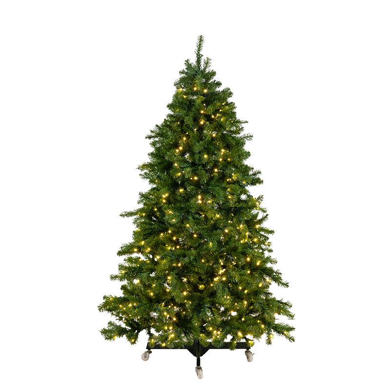 Mountain Pine Tree Collection