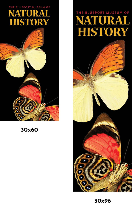 Natural History Museum Single Vinyl Banner