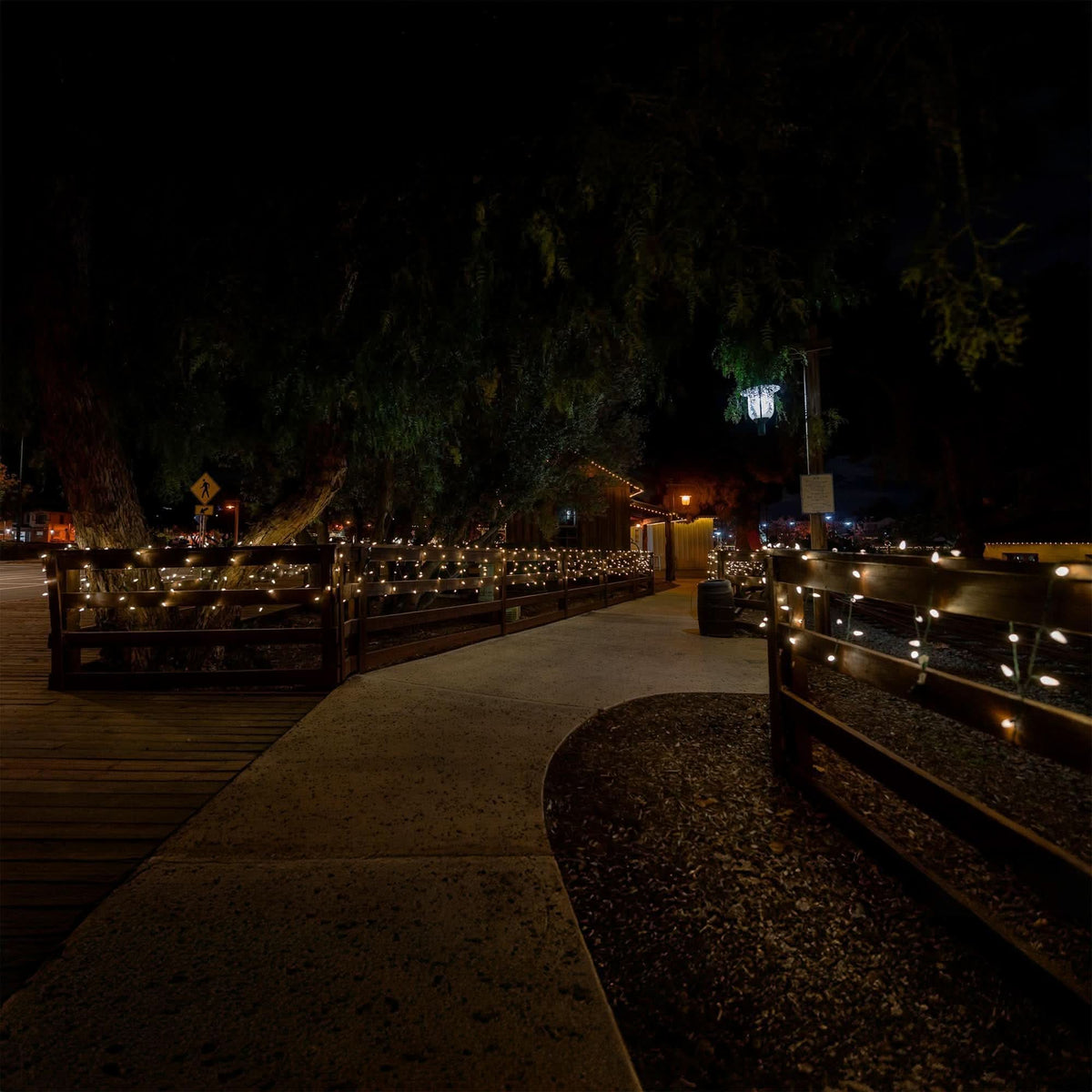 C6 Faceted LED Mini Lights