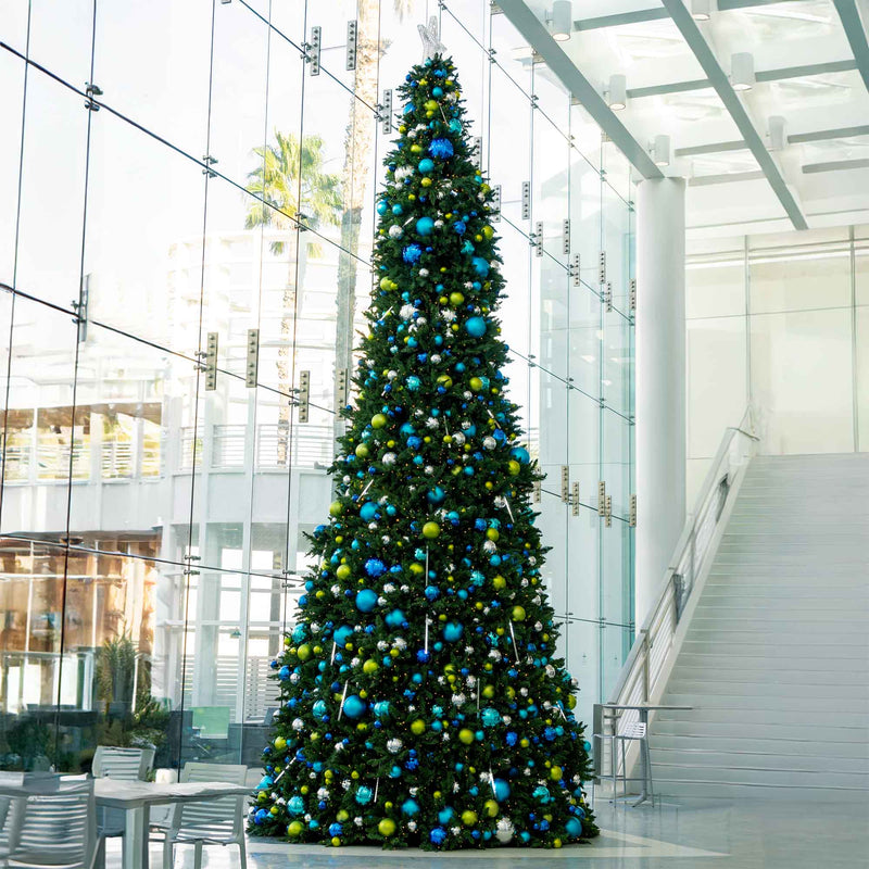 Sequoia Tree Collection