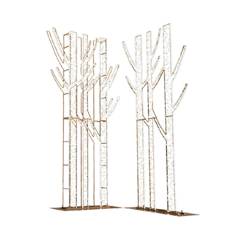 Illuminated Birch Tree Duo
