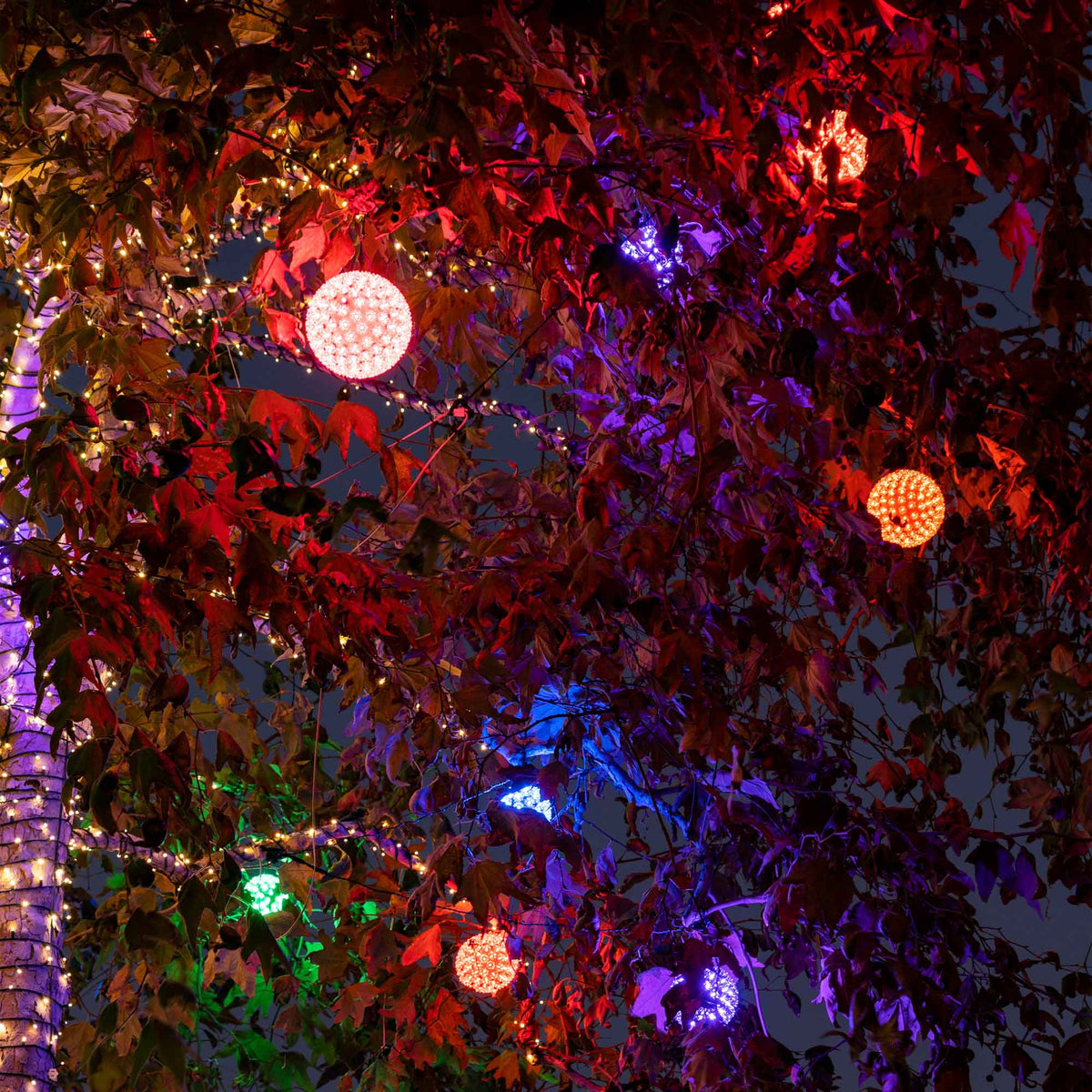 Illuminated LED Spheres