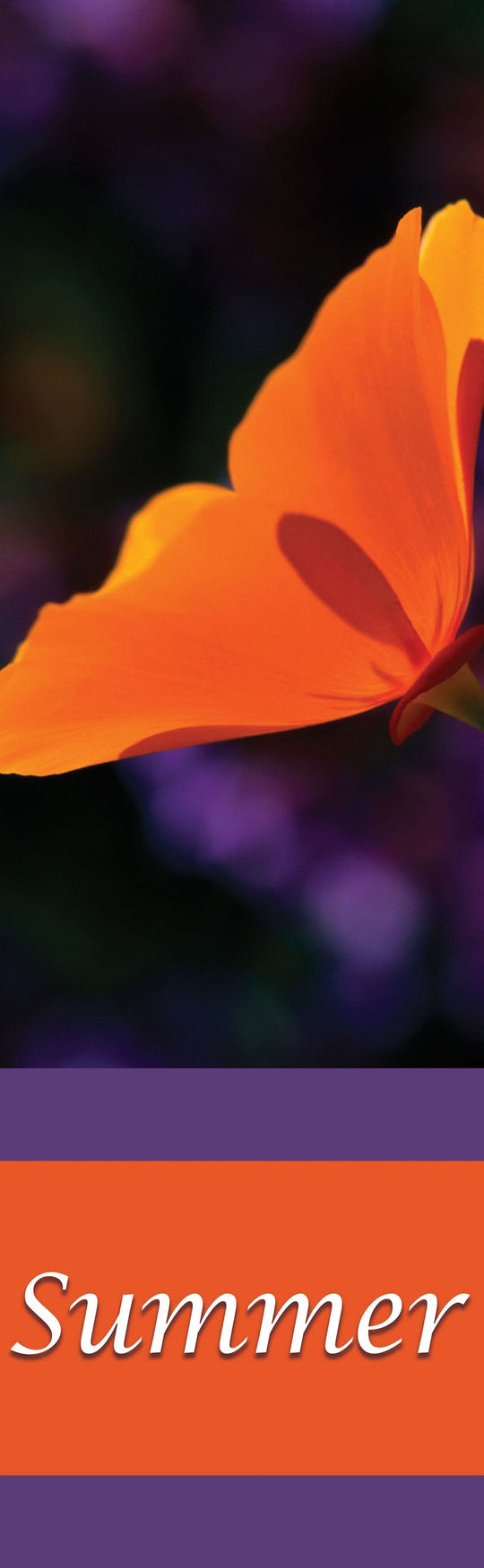 Poppy Single Vinyl Banner