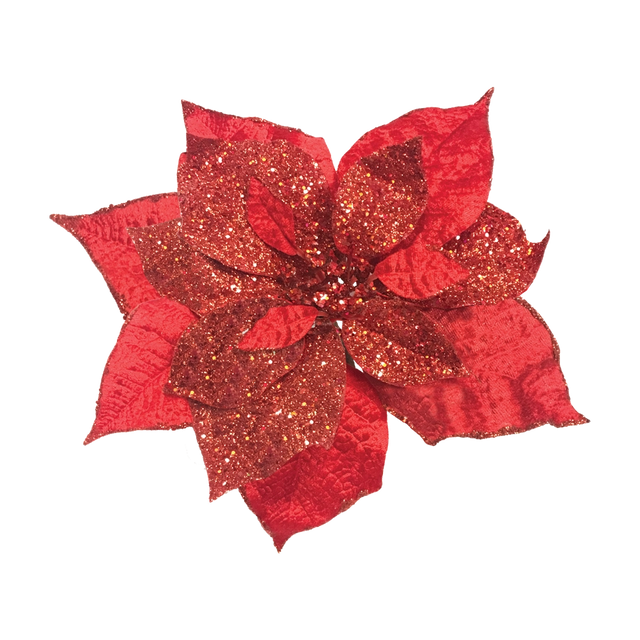 Red glittery poinsettia flower on a white background