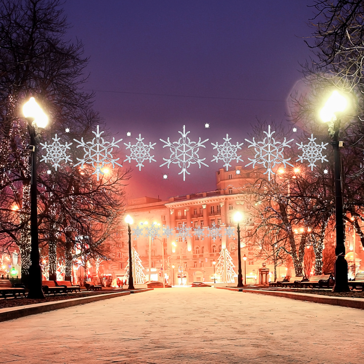 Royal Snowflake LED Overhead Decor