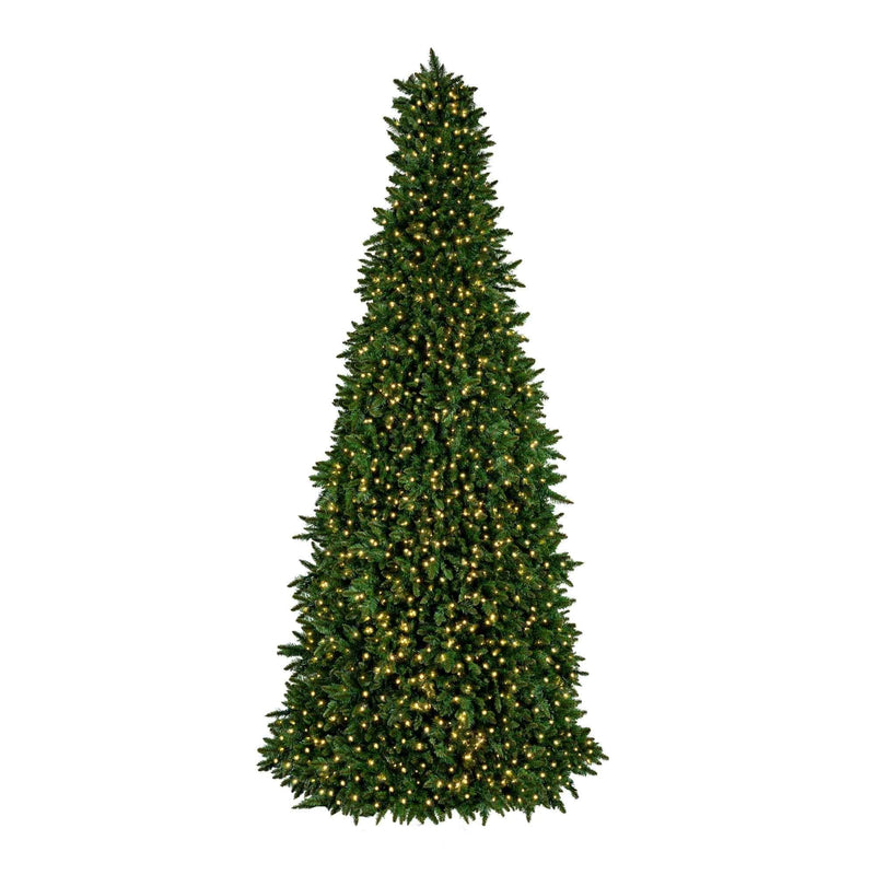 Low-Voltage Sequoia Tree Collection