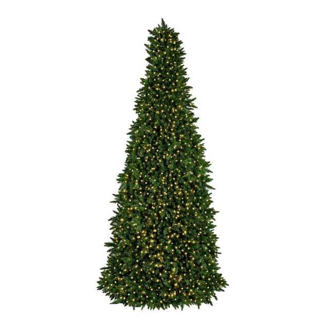 Sequoia Tree Collection Dekra-Lite