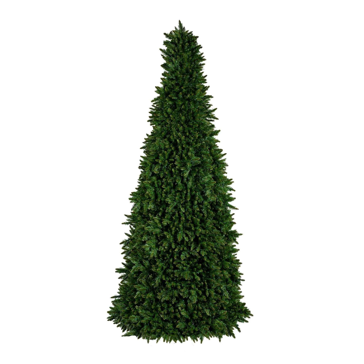 Sequoia Tree Collection