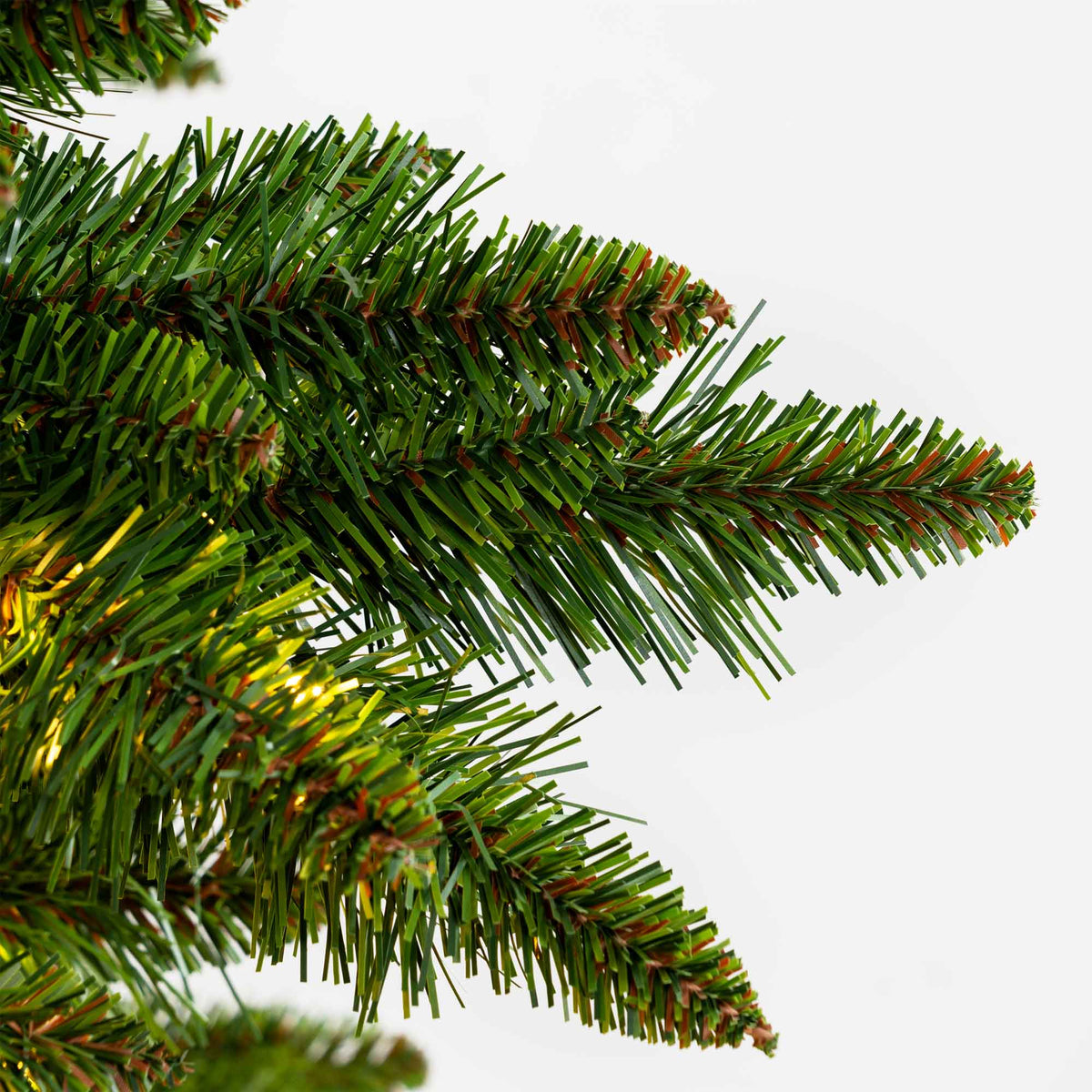 Sequoia Tree Collection