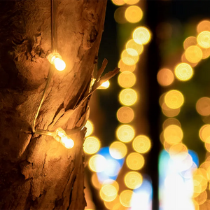 Low-Voltage Clip Lighting